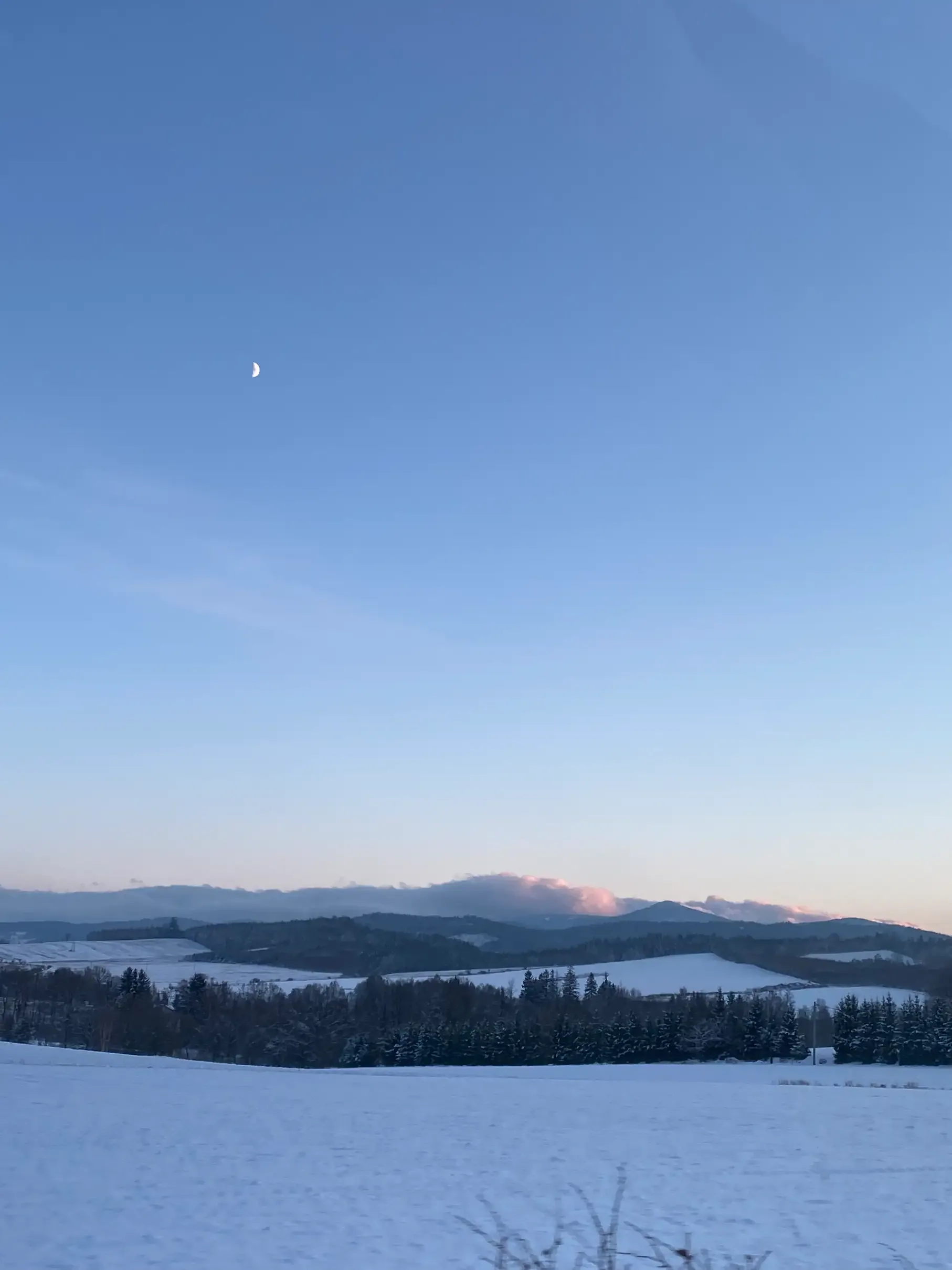 Winter surroundings